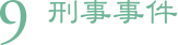 9.刑事事件